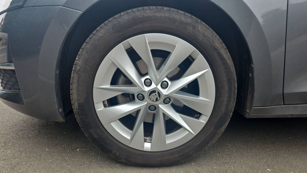 Octavia 1.5 eTSI 116 DSG7 Selection - Premi&egrave;re main Garantie constru 2024 occasion 59650 Villeneuve D Ascq