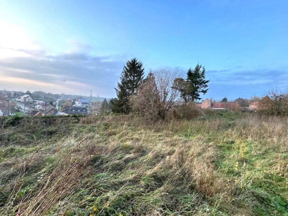 Vente Terrain Terrain à vendre de 1 534,00 m² WARGNIES LE GRAND (59) Wargnies le grand