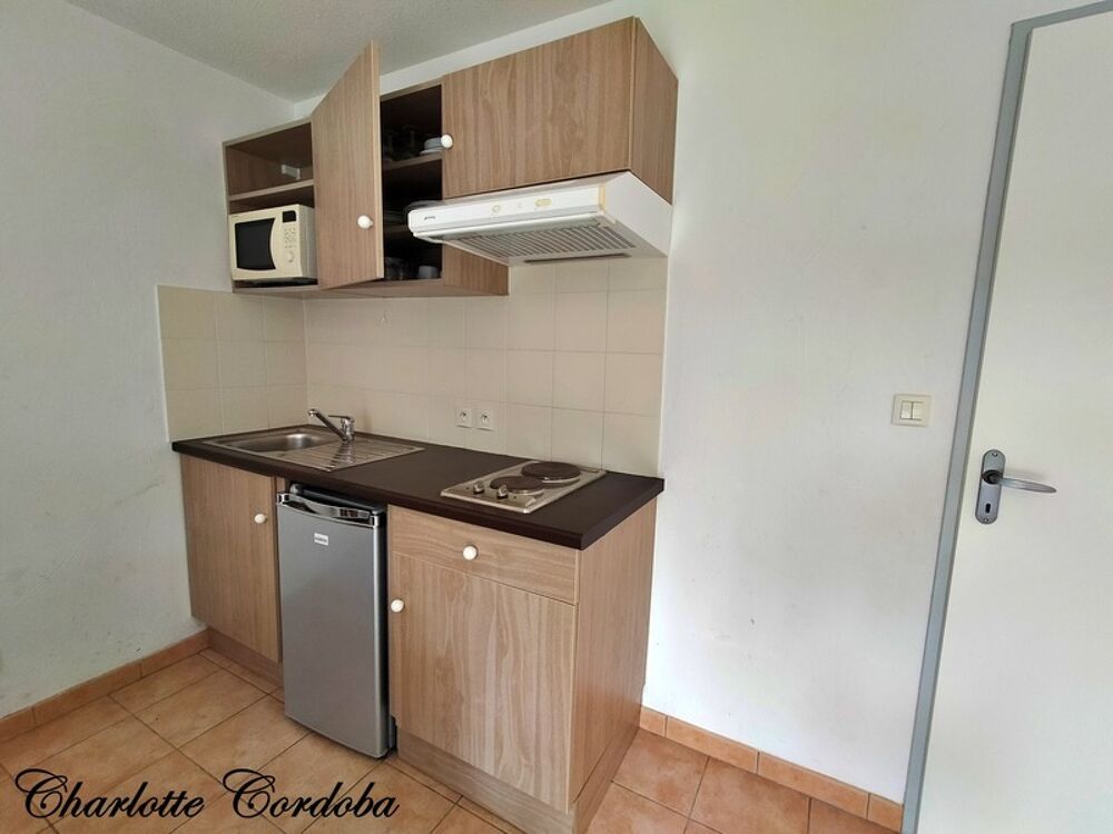 Vente Appartement Appartement 3 pièces meublé dans résidence de tourisme sans bail commercial BARBASTE (47) Barbaste