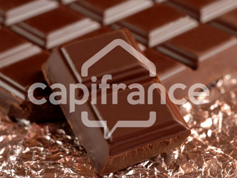   Dpt Charente (16),  vendre BARBEZIEUX SAINT HILAIRE Chocolaterie 