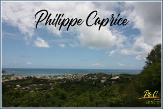  Terrain à vendre 43000 m²