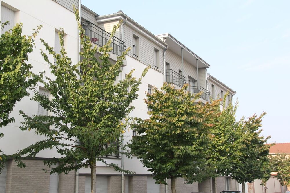 Location Appartement Appartement de 41m2 à louer sur Reims Reims