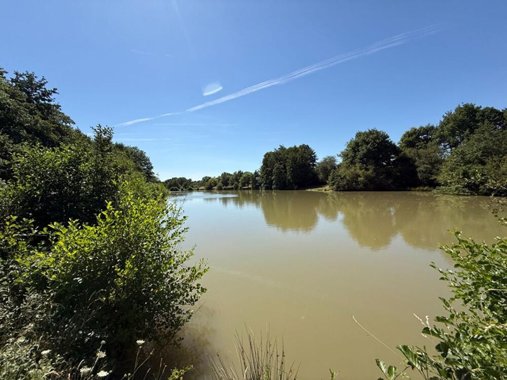 Propriété Maison + Etang + gîte Proche Moulins 03