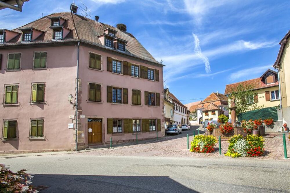 Location Appartement 18510007 - Appartement - F2 - Hattstatt (68420) Hattstatt