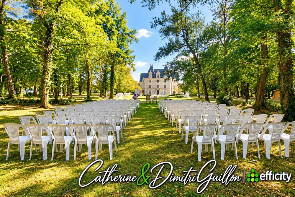 à vendre  Propriété/château Vouillé (86190)