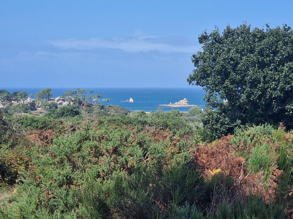 à vendre  Propriété/château Plougrescant (22820)