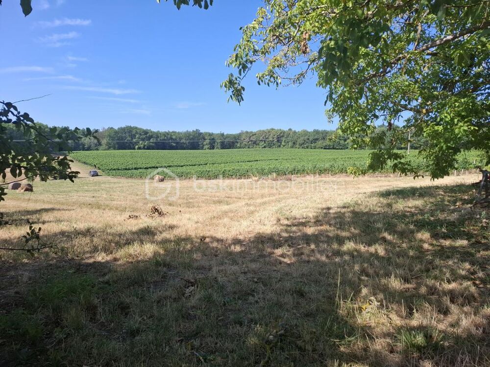 Vente Terrain Terrain à bâtir de 1383 m² - Mérignas (33350) Merignas