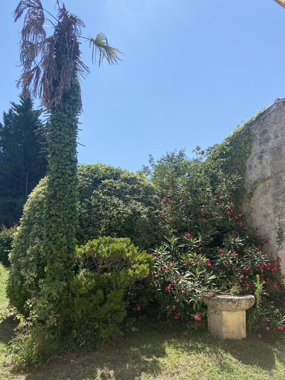 Domaine à taille humaine avec maison pierre joliment rénovée 4 chambres, piscine et nombreuses dépendances sur 4hectares près de