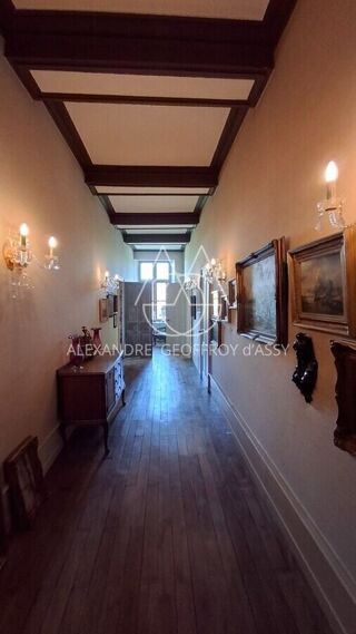  Proprit/chteau  vendre 15 + pices 700 m