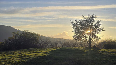   T�nement immobilier : 2 habitations et un ancien hangar agricole - 6200m� autour de la maison + bois de ch�nes 9700m� - source e Maison - 12 pi�ce(s) - 273 m�