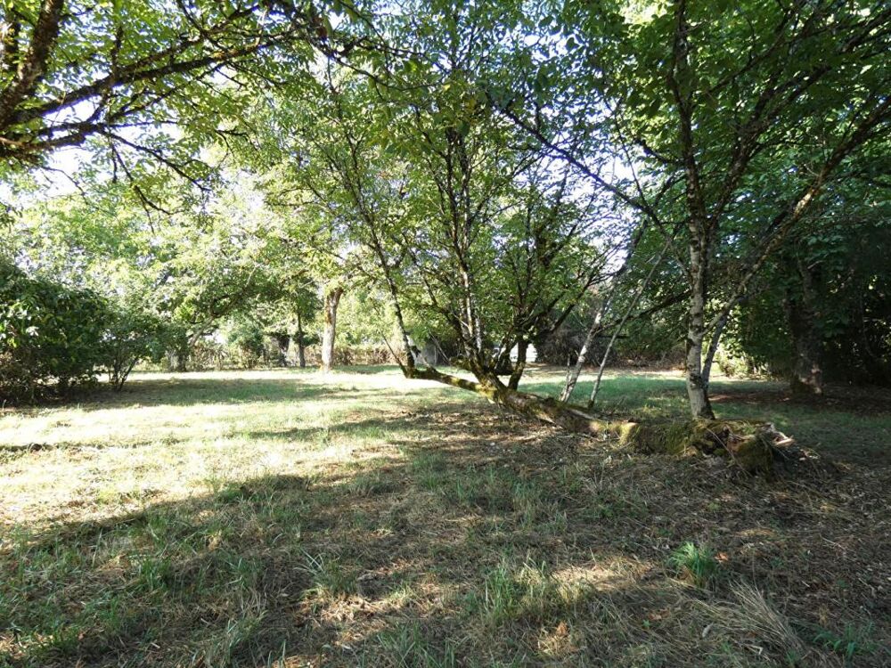 Maison 110 m2 / 3 chambres / garage / terrain 2660m²