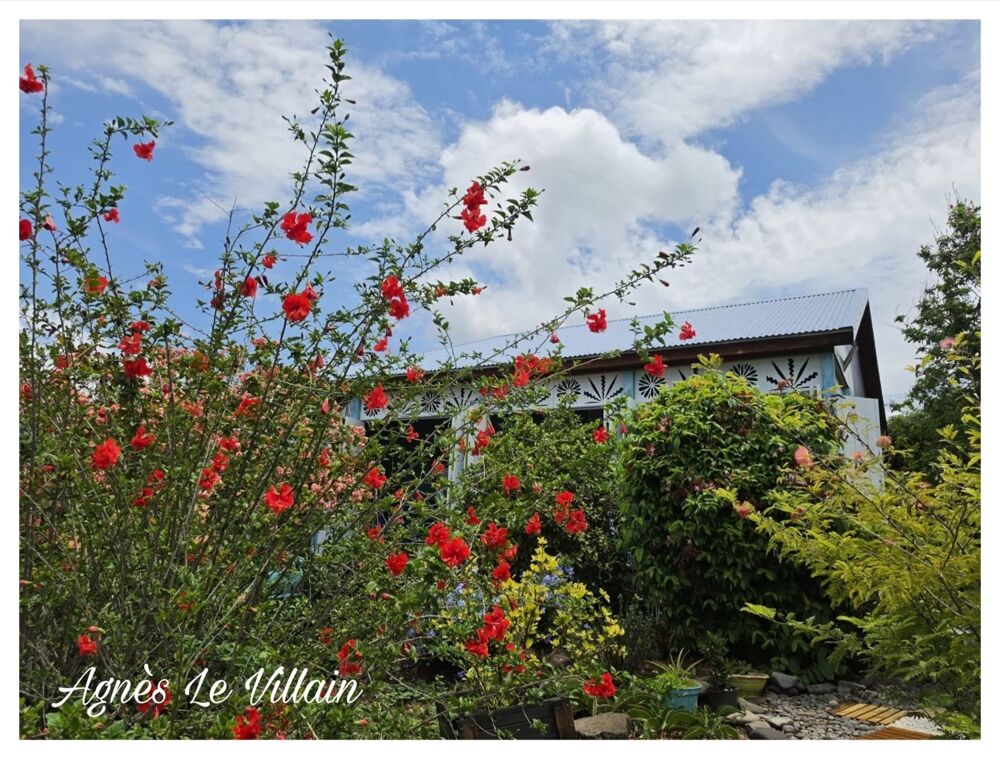 Vente Maison Jolie Maison en bois Vue Mer à Gery Vieux habitants
