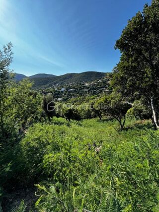  Terrain � vendre 1198 m�