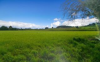  Terrain  vendre 5000 m