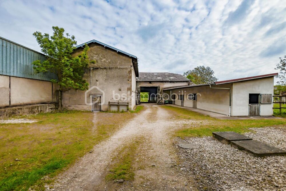 Maison - 6 pièces - 160 m²