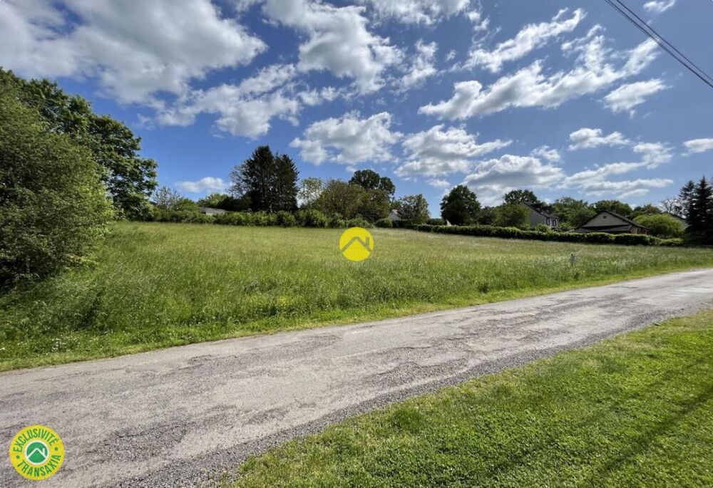 Vente Terrain Terrain constructible 3 065m² Chateauneuf sur cher