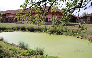  Viager  vendre 4 pices 118 m