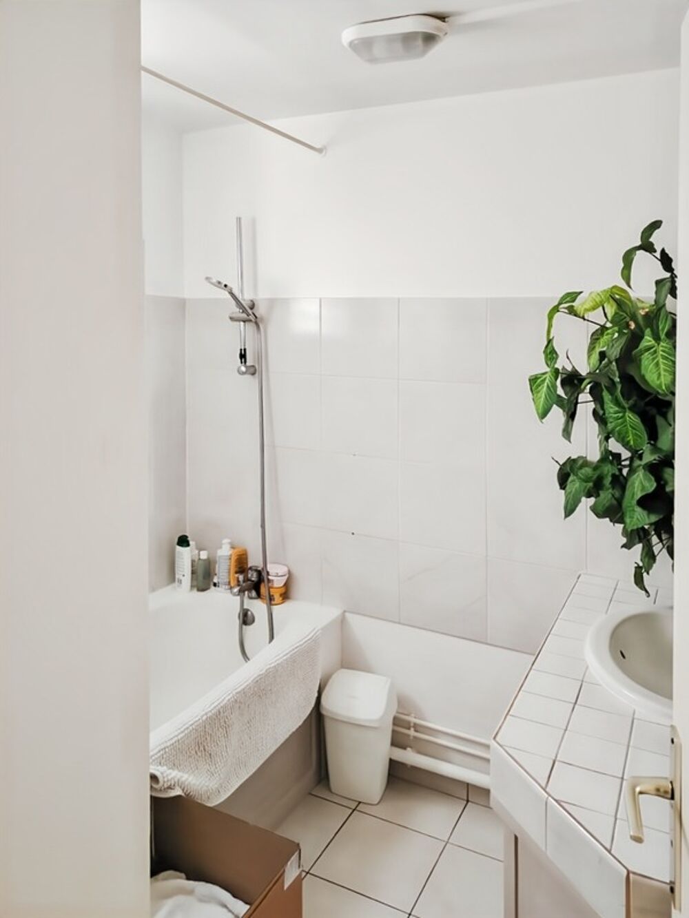 Vente Appartement ? Charmant T2 lumineux et traversant – Dernier étage – Résidence les Pléiades 3 quartier Saint-Laurent la Possession La possession