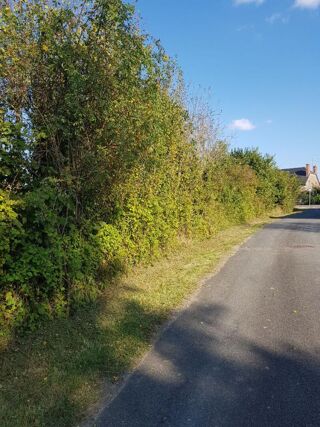  Terrain à vendre 1313 m²