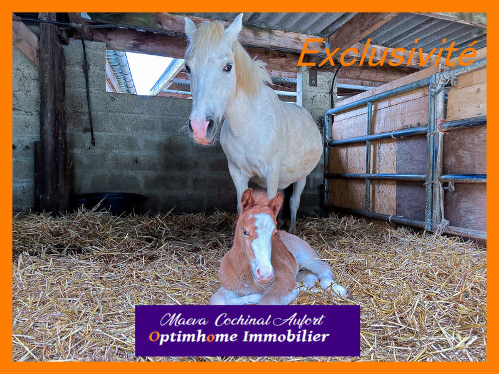  vendre  Proprit/chteau Breteuil (27160)