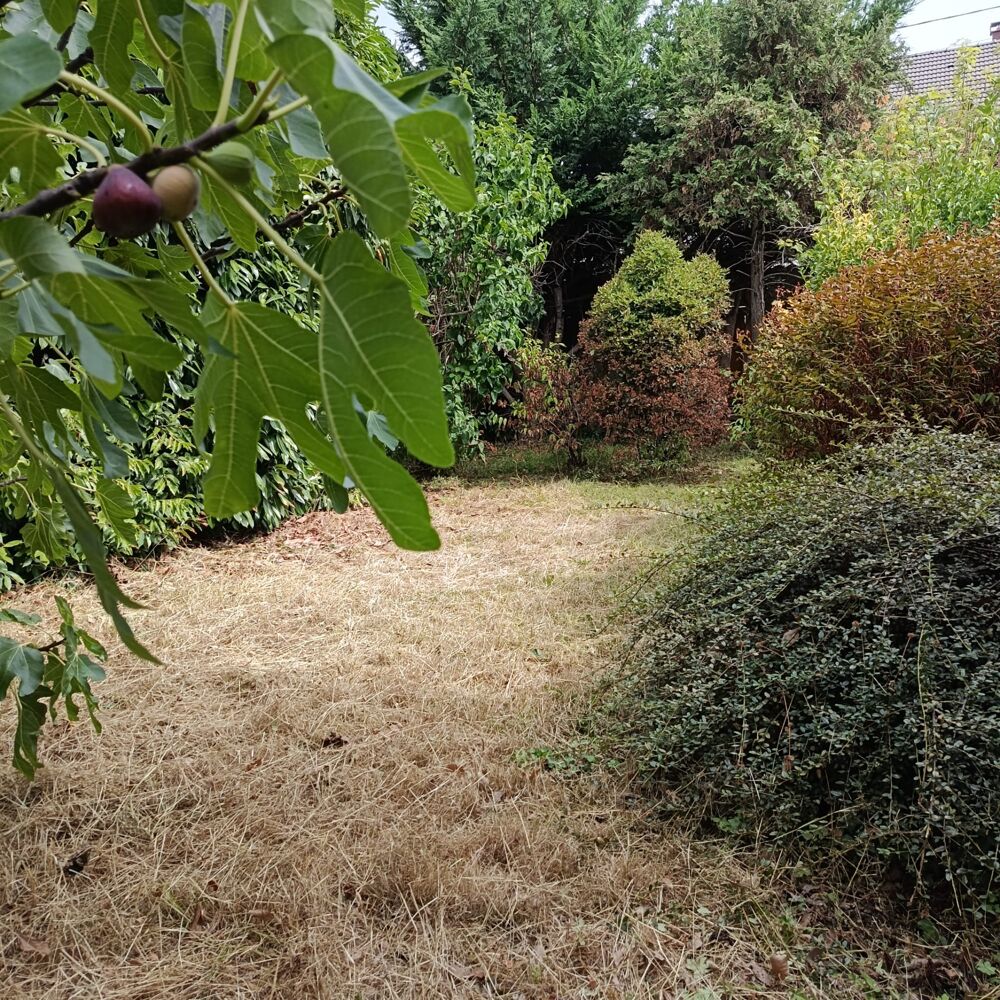 Vente Terrain Terrain de 164 m² – Projet R+2 – À 5 min du métro ligne 11 Montreuil