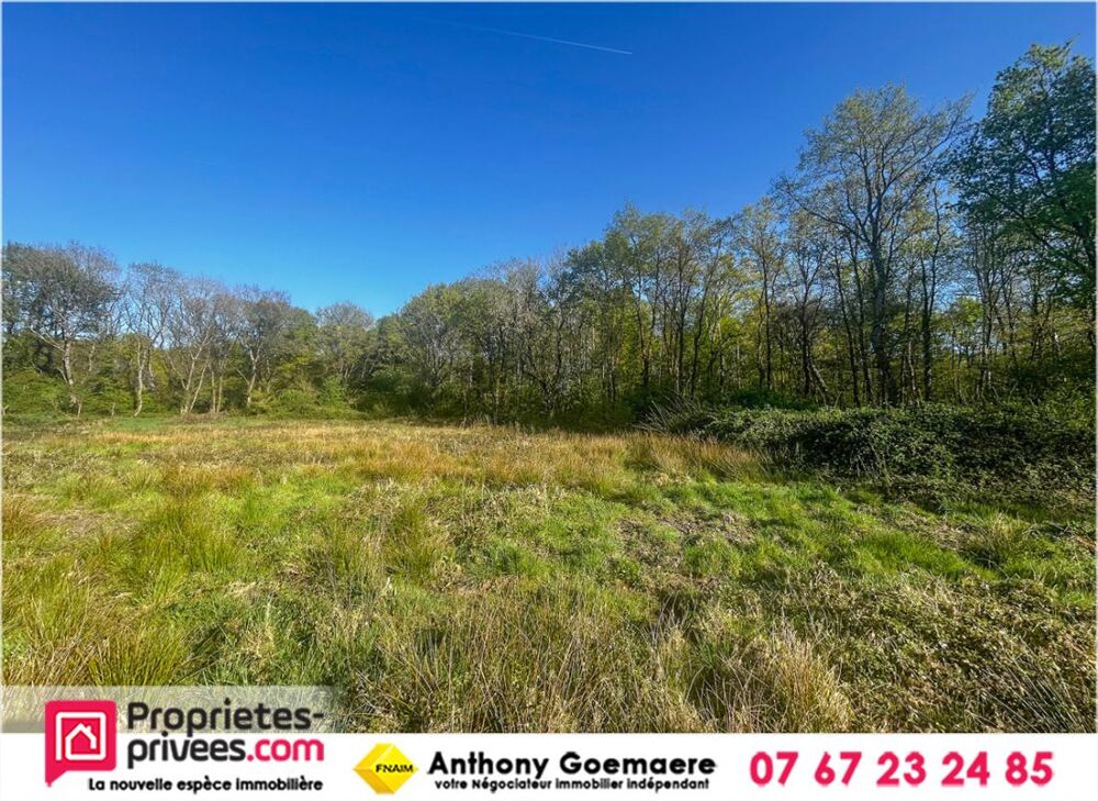 Vente Terrain Terrain Villefranche Sur Cher 6804 m2 Villefranche sur cher