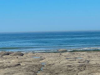  Appartement � vendre 2 pi�ces 32 m�