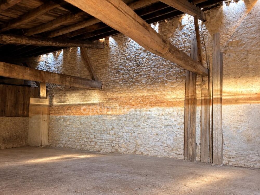Ensemble immobilier sur terain de 600m2 - LE BOIS PLAGE EN RE (17)