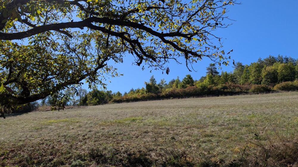 Vente Maison Charmante maison en pierres Auriac du perigord