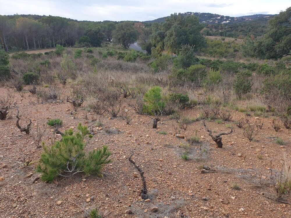 Vente Terrain Terrain naturel de 1 hectare sur Torderes Torderes