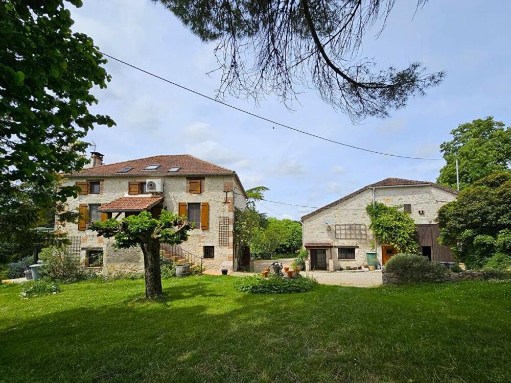 Secteur Valence d'Agen : Maison - Gîte - Grange- Piscine - 3 ha