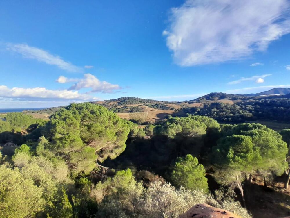 � vendre  Propri�t�/ch�teau Port-Vendres (66660)