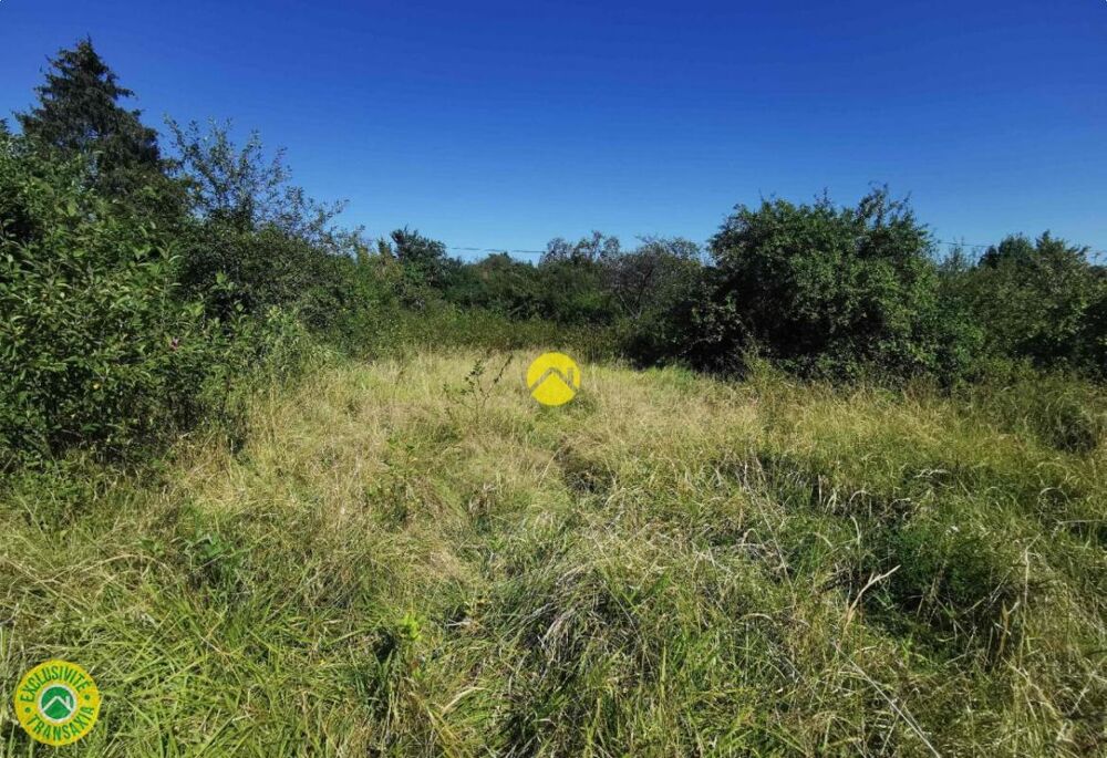 Vente Terrain Terrain 30 mn de Nevers Grossouvre