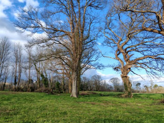  Remise / Grange � vendre 1 pi�ce 130 m� Dax