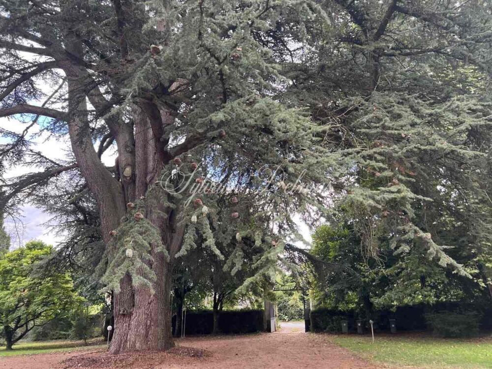 à vendre  Propriété/château Fondettes (37230)
