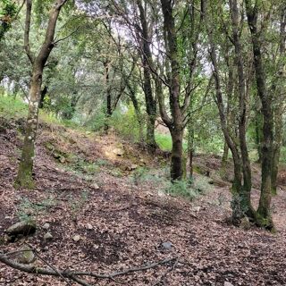  Terrain � vendre 5784 m�