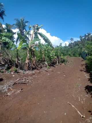  Terrain � vendre 596 m�