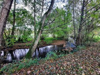  Moulin � vendre 9 pi�ces 234 m�