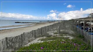  Appartement � vendre 2 pi�ces 51 m�