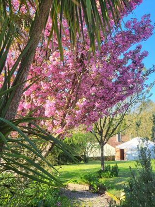  Maison � vendre 11 pi�ces 320 m�