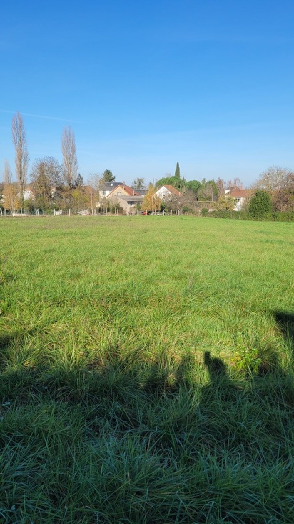 Vente Terrain DANGE SAINT ROMAIN (86220) - Terrain à vendre de 25 445,00 m² Dange saint romain