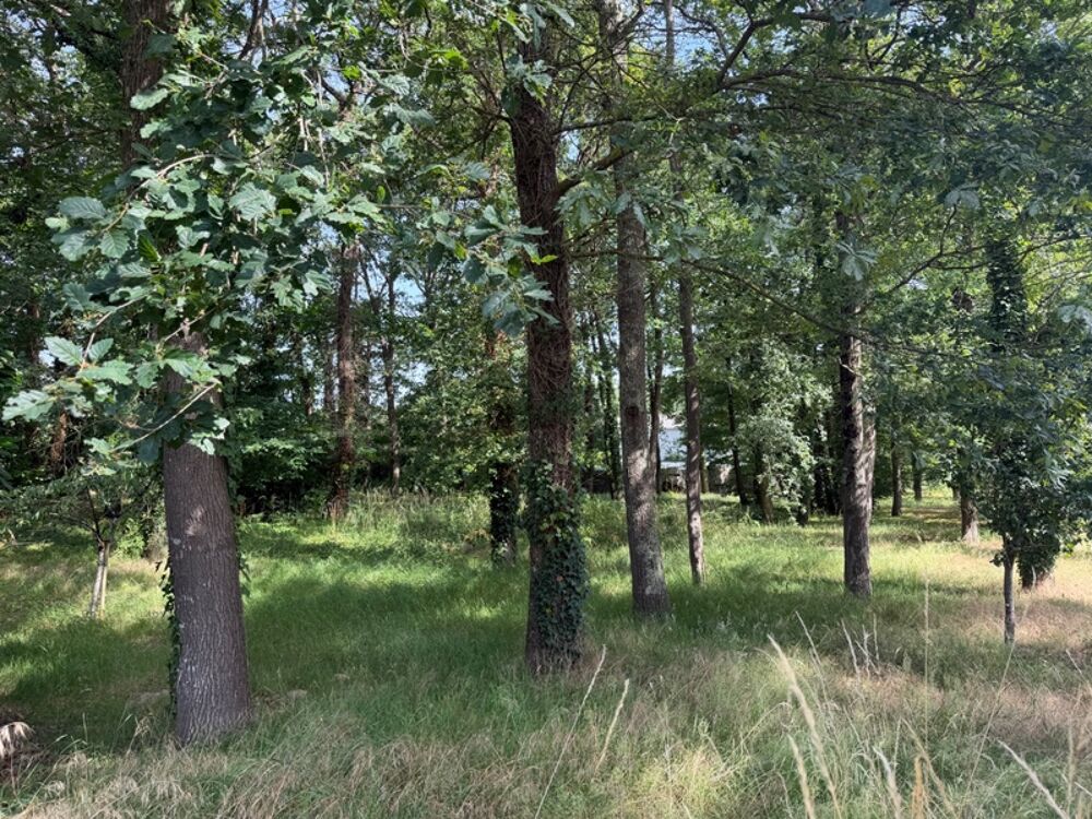 Vente Terrain Dpt Maine et Loire (49), à vendre BAUGE terrain Bauge