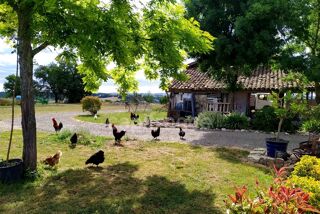  Propri�t�/ch�teau � vendre 7 pi�ces 220 m�