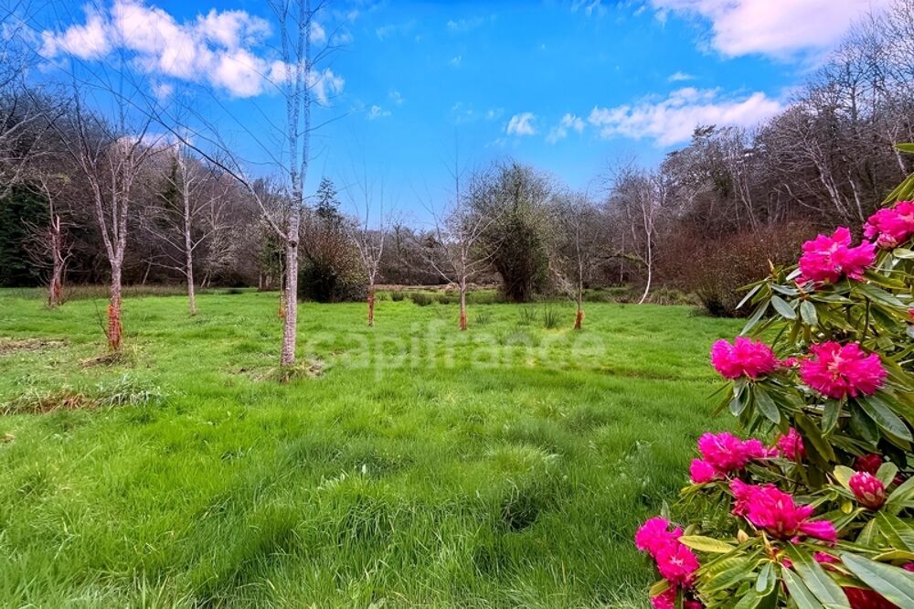 Vente Terrain Terrain de loisirs non constructible - 7138m² de nature - Prairie, ruisseau et tranquillité absolue Quimper (29) Quimper