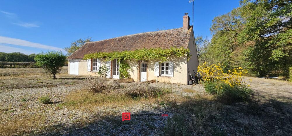 Vente Maison Charmante longère au calme, sans voisinage proche, sur plus de 1,2 hectare à Domats (89) Domats