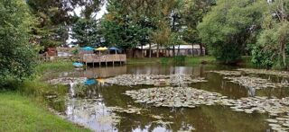  Terrain � vendre 12870 m�