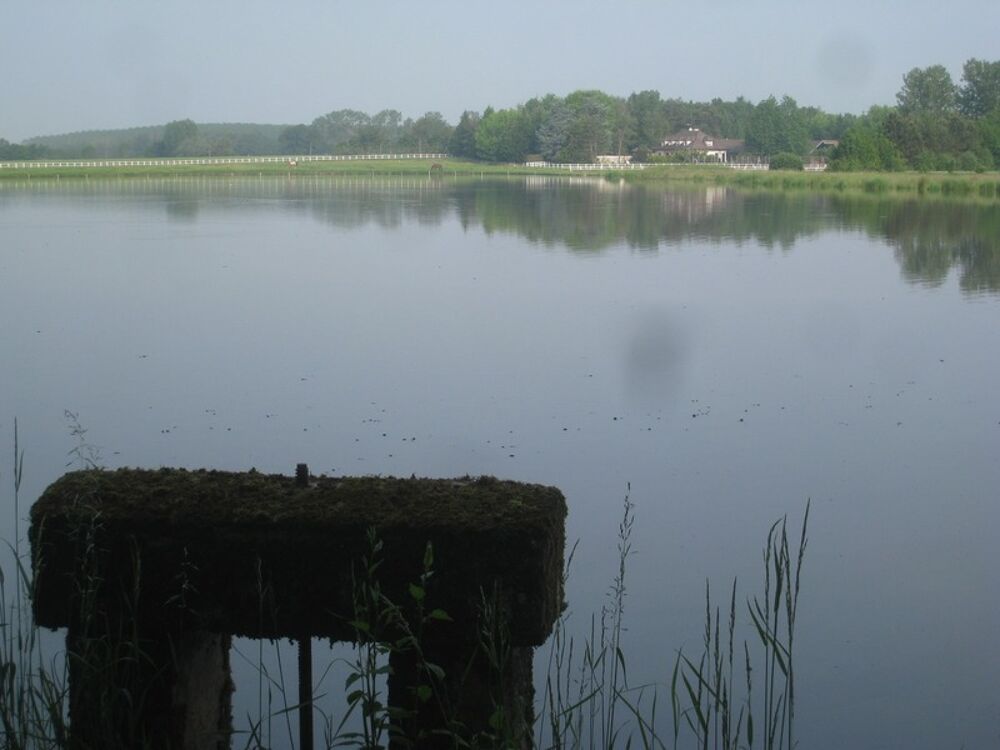 Propriete à vendre sur 35 hectares, 14 pièces, piscine, tennis, chasse, pêche, équitation, au coeur de la Dombes
