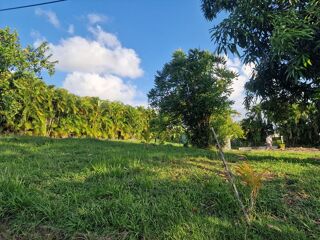  Terrain � vendre 1215 m�