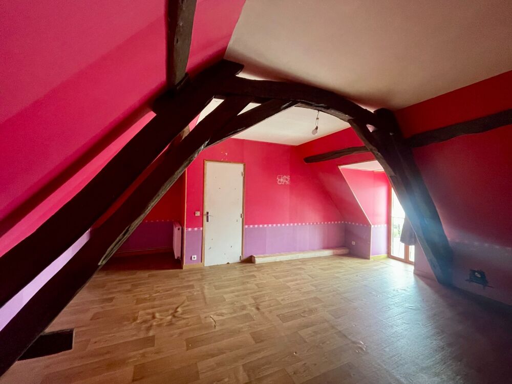 Maison à vendre 6 pièces SANCOINS (18)