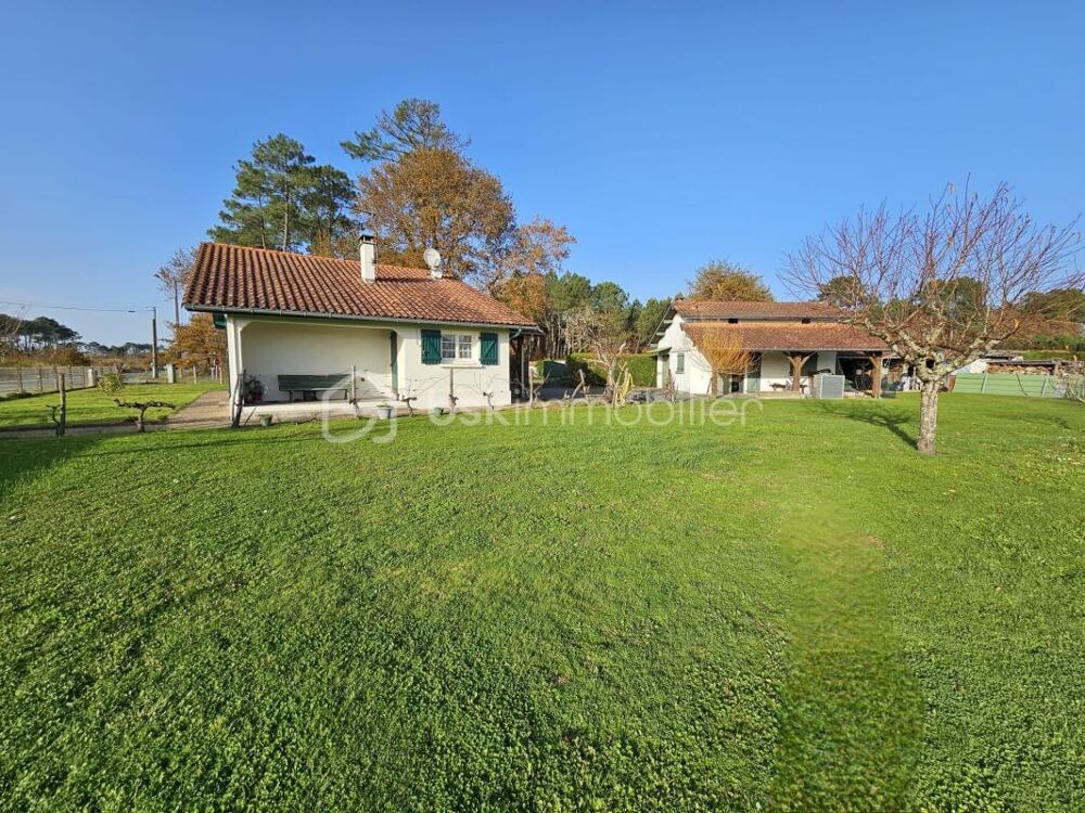Maison avec dépendance sur terrain constructible  Potentiel à exploiter !
